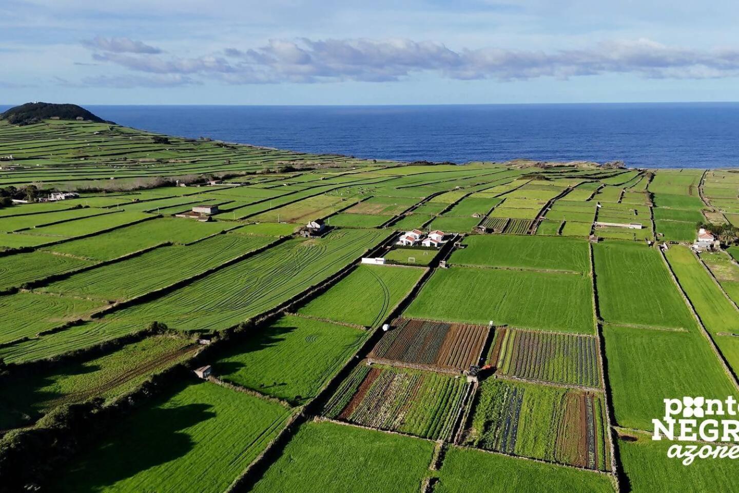 Wine House By Ponta Negra Azores Altares Exteriör bild